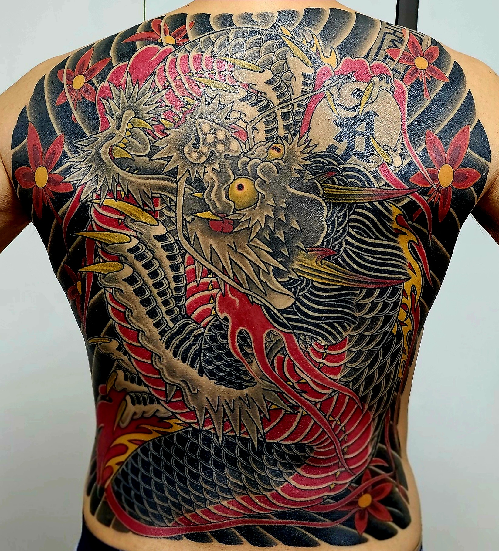 20260201 114800(1)(1)(1)(1)